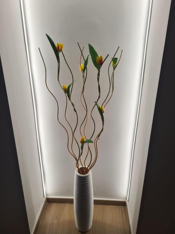 דירות מולפטה Gdb House מראה חיצוני תמונה